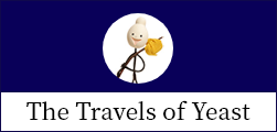 The Travels of Yeast