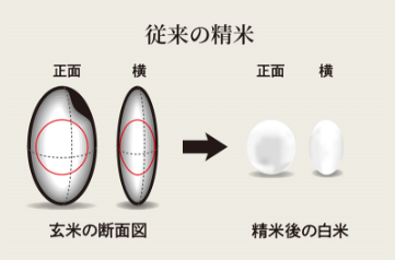 従来の精米