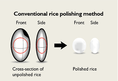 Conventional polished rice (spherical polished rice)