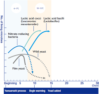 Graph of lactic acid conquers all